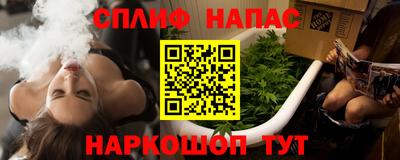 гидра Моздок