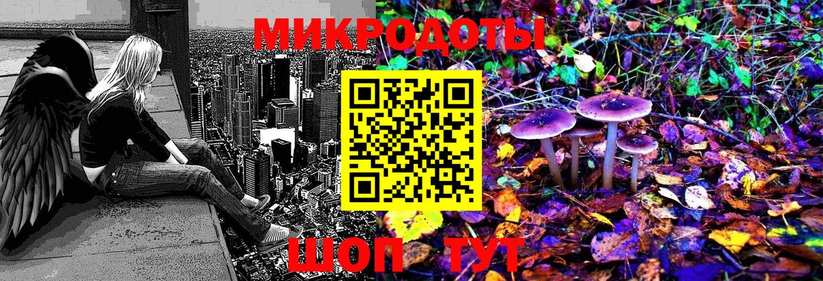 Псилоцибиновые грибы мицелий Фролово
